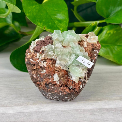 Green Tea Apophyllite N2 40 - Kenna's Crystals from TikTok