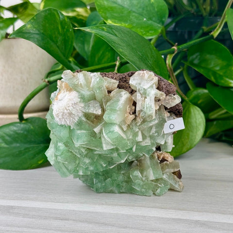 Green Tea Apophyllite O 15 - Kenna's Crystals from TikTok