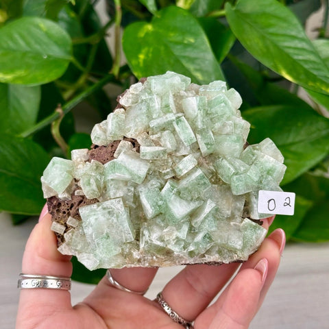Green Tea Apophyllite O2 41 - Kenna's Crystals from TikTok