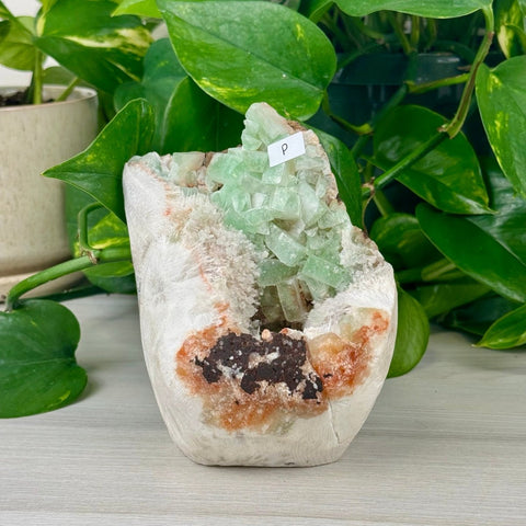 Green Tea Apophyllite P 16 - Kenna's Crystals from TikTok