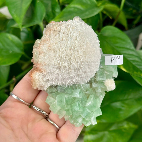 Green Tea Apophyllite P2 42 - Kenna's Crystals from TikTok