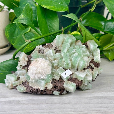 Green Tea Apophyllite Q 17 - Kenna's Crystals from TikTok