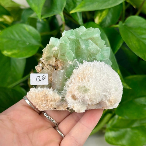 Green Tea Apophyllite Q2 43 - Kenna's Crystals from TikTok