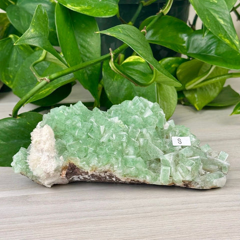 Green Tea Apophyllite S 19 - Kenna's Crystals from TikTok