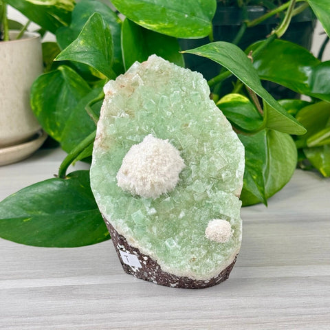 Green Tea Apophyllite T 20 - Kenna's Crystals from TikTok