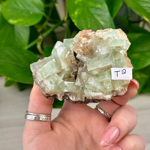 Green Tea Apophyllite T2 46 - Kenna's Crystals from TikTok