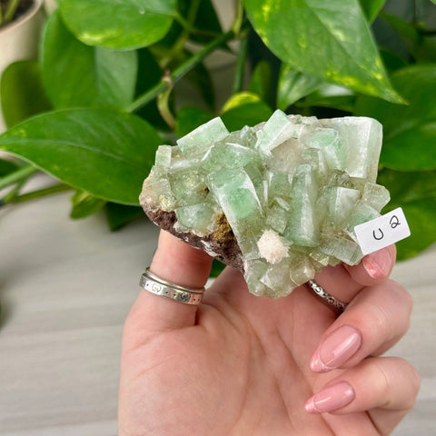 Green Tea Apophyllite U2 47 - Kenna's Crystals from TikTok