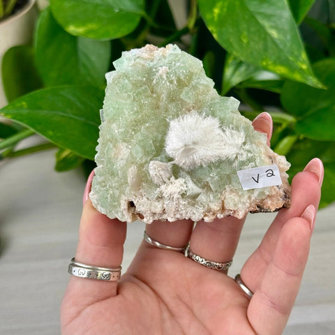 Green Tea Apophyllite V2 48 - Kenna's Crystals from TikTok