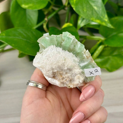 Green Tea Apophyllite X2 50 - Kenna's Crystals from TikTok