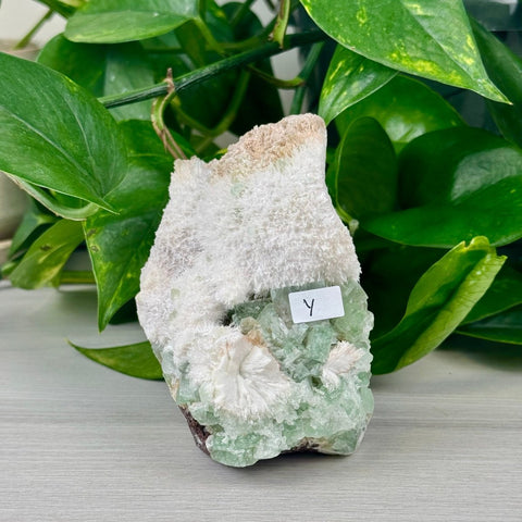 Green Tea Apophyllite Y 25 - Kenna's Crystals from TikTok