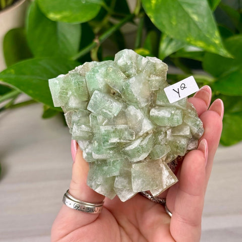 Green Tea Apophyllite Y2 51 - Kenna's Crystals from TikTok