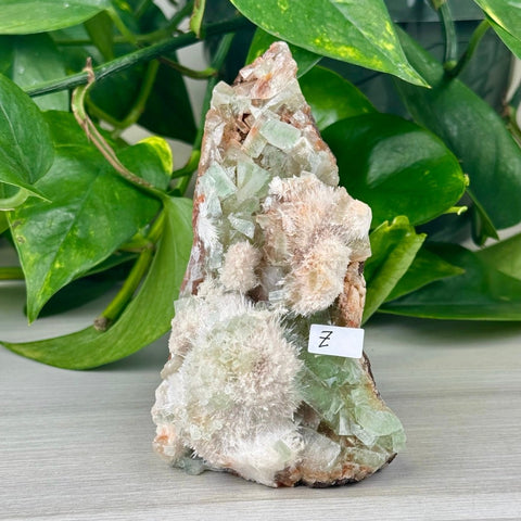 Green Tea Apophyllite Z 26 - Kenna's Crystals from TikTok