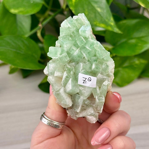 Green Tea Apophyllite Z2 52 - Kenna's Crystals from TikTok