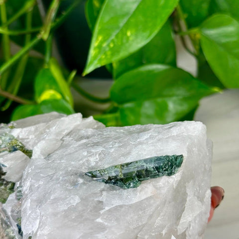 Green Tourmaline In Quartz 3 - Kenna's Crystals from TikTok