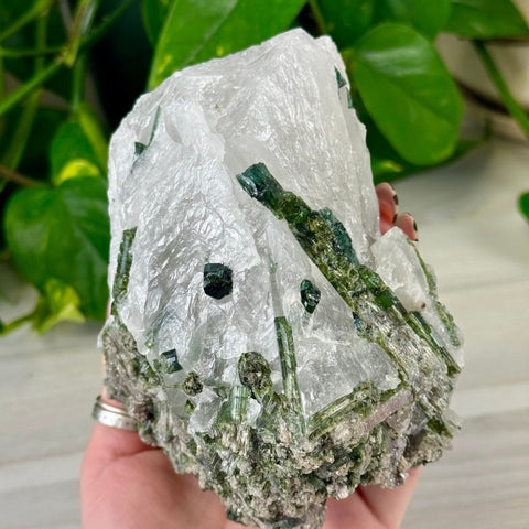 Green Tourmaline In Quartz 4 - Kenna's Crystals from TikTok