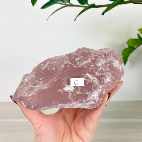 Large raw chunk of translucent pink rose quartz held in a hand against a white background.