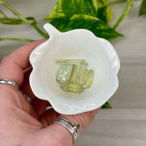 Heliodor Crystal Specimen 22 3 - Kenna's Crystals from TikTok