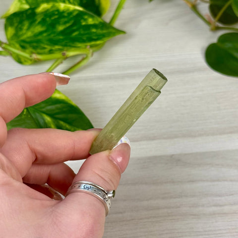 Heliodor Crystal Specimen 222 7 - Kenna's Crystals from TikTok