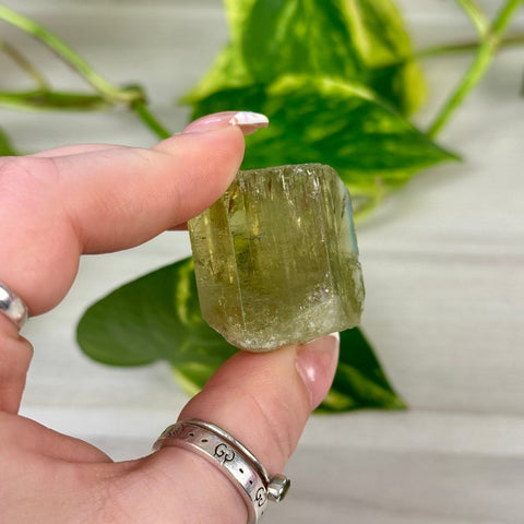 Heliodor Crystal Specimen 222 10 - Kenna's Crystals from TikTok