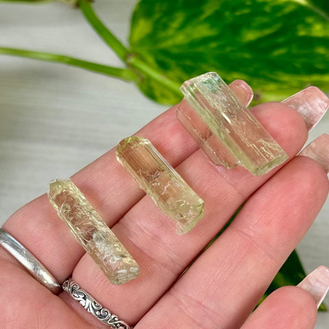 Heliodor Crystal Specimen 66 1 - Kenna's Crystals from TikTok