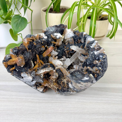 Hematite Roses With Harlequin Quartz Specimen 1133 1 - Kenna's Crystals from TikTok