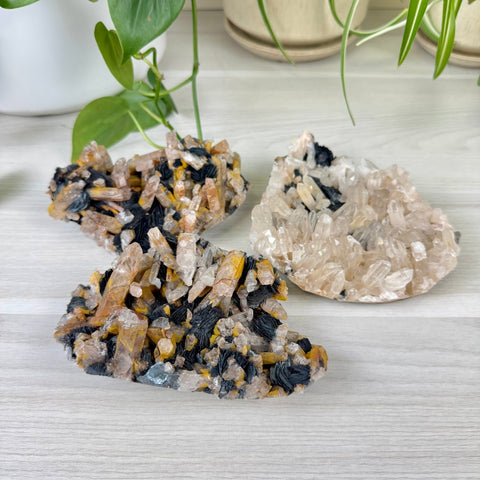 Hematite Roses With Harlequin Quartz Specimen 144 7 - Kenna's Crystals from TikTok