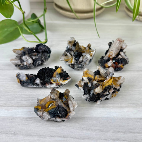 Hematite Roses With Harlequin Quartz Specimen 33 12 - Kenna's Crystals from TikTok