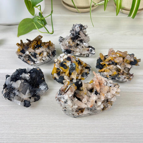 Hematite Roses With Harlequin Quartz Specimen 99 9 - Kenna's Crystals from TikTok