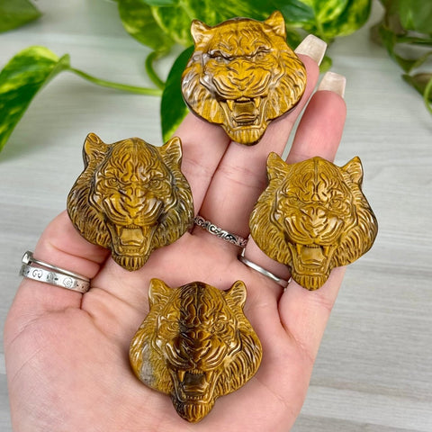 Highly Detailed Tiger's Eye Carving 44 - Tiger Head 11 - Kenna's Crystals from TikTok