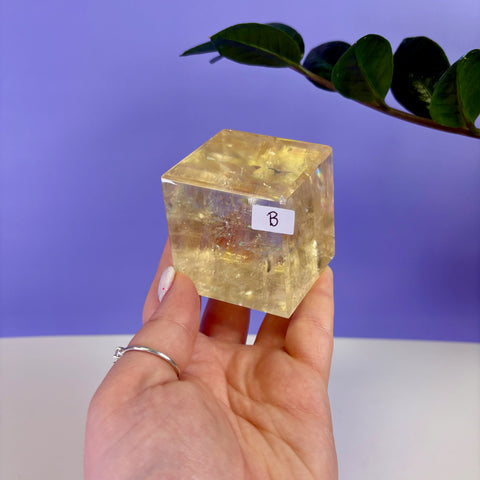 Honey Calcite Jello Cube