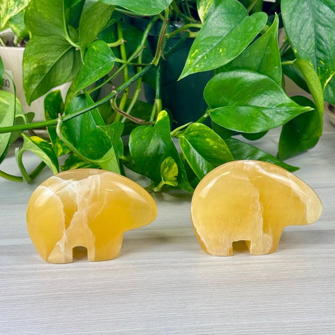 Honeycomb Calcite Bear Fetish Large 2 - Kenna's Crystals from TikTok