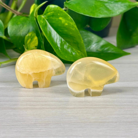 Honeycomb Calcite Bear Fetish Micro 1 - Kenna's Crystals from TikTok