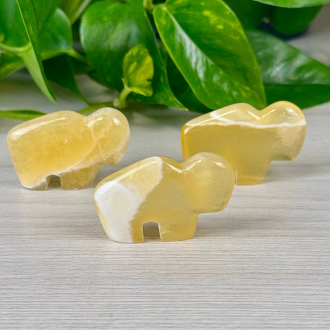 Honeycomb Calcite Bison Fetish Extra Small 1 - Kenna's Crystals from TikTok