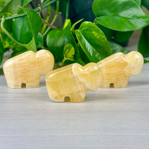 Honeycomb Calcite Bison Fetish Small 2 - Kenna's Crystals from TikTok