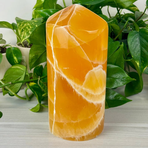 Honeycomb Calcite Free Form 1091 1 - Kenna's Crystals from TikTok