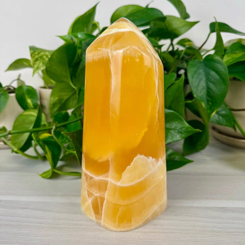 Honeycomb Calcite Free Form 533 4 - Kenna's Crystals from TikTok