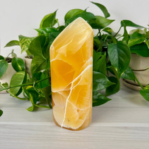 Honeycomb Calcite Free Form 596 3 - Kenna's Crystals from TikTok