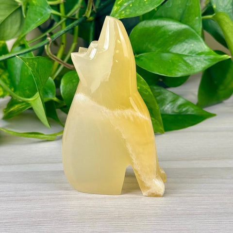 Honeycomb Calcite Wolf 1 - Kenna's Crystals from TikTok