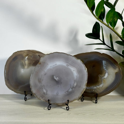 Three round, imperfect agate slabs in varying shades of grey and brown, displayed on black stands.