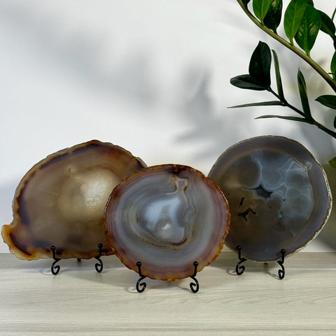 Three unique, imperfect agate slabs in varying sizes, displaying natural brown, grey, and white tones on black stands.