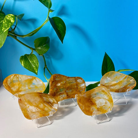 Imperfect Golden Healer Dish 44 2 - Kenna's Crystals from TikTok