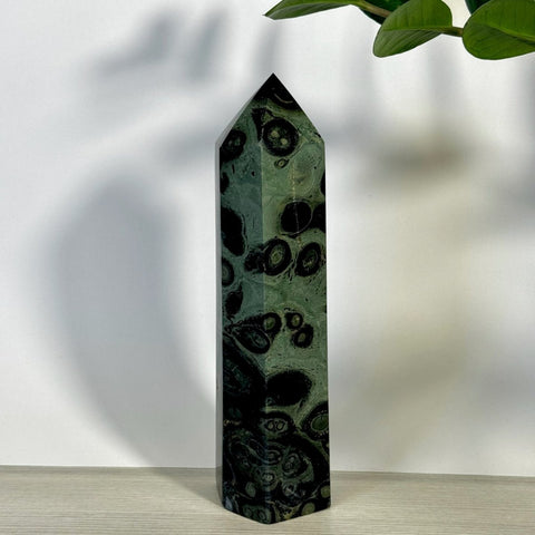 Imperfect Kambaba Jasper Tower 111 6 - Kenna's Crystals from TikTok