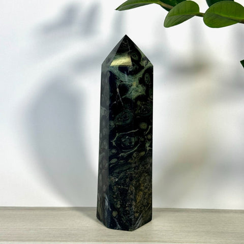 Imperfect Kambaba Jasper Tower 111 7 - Kenna's Crystals from TikTok