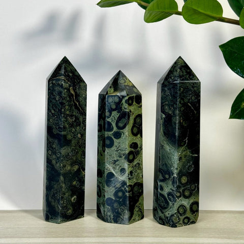 Imperfect Kambaba Jasper Tower 66 2 - Kenna's Crystals from TikTok