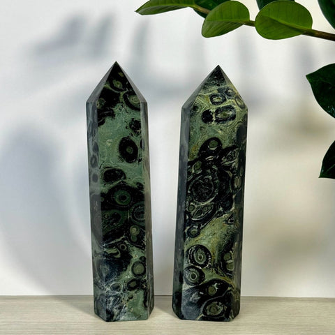 Imperfect Kambaba Jasper Tower 88 4 - Kenna's Crystals from TikTok