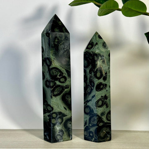 Imperfect Kambaba Jasper Tower 99 5 - Kenna's Crystals from TikTok