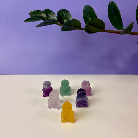 Imperfect Mini Candy Fluorite Chubby Dino