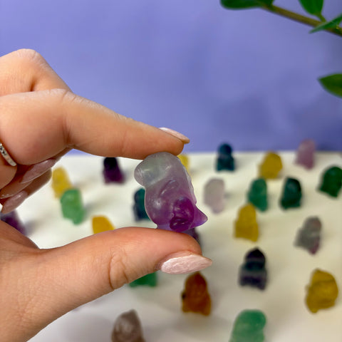 Imperfect Mini Candy Fluorite Chubby Dino