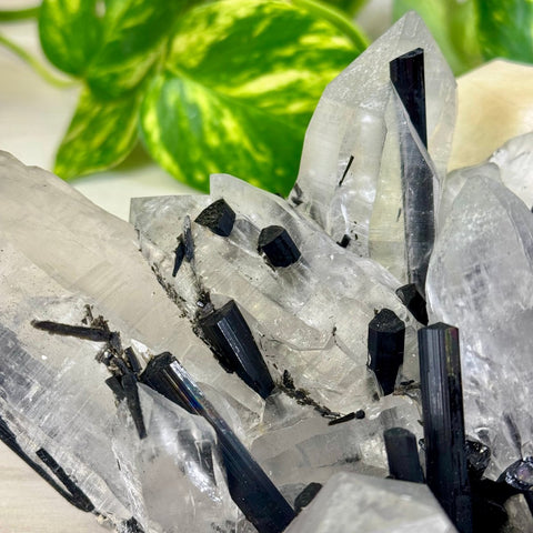 Incredible XL Tourmaline & Quartz Specimen With Albite 6 - Kenna's Crystals from TikTok