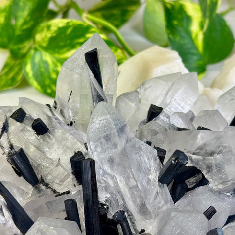 Incredible XL Tourmaline & Quartz Specimen With Albite 7 - Kenna's Crystals from TikTok